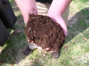 800px Compost dirt
